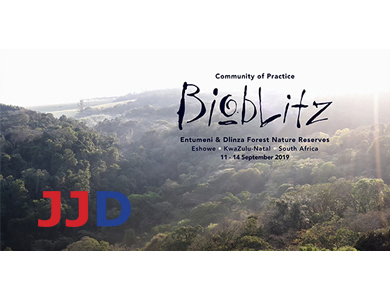 Bioblitz